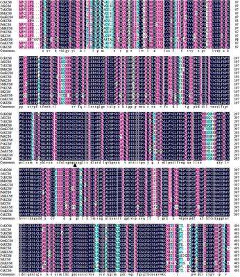 Ectopic Expression of CsKCS6 From Navel Orange Promotes the Production of Very-Long-Chain Fatty Acids (VLCFAs) and Increases the Abiotic Stress Tolerance of Arabidopsis thaliana